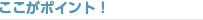 �������|�C���g�I