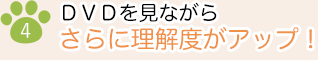 4）DVDを見ながらさらに理解度がアップ！