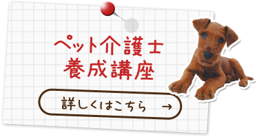 ペット介護士養成講座 詳しくはこちら