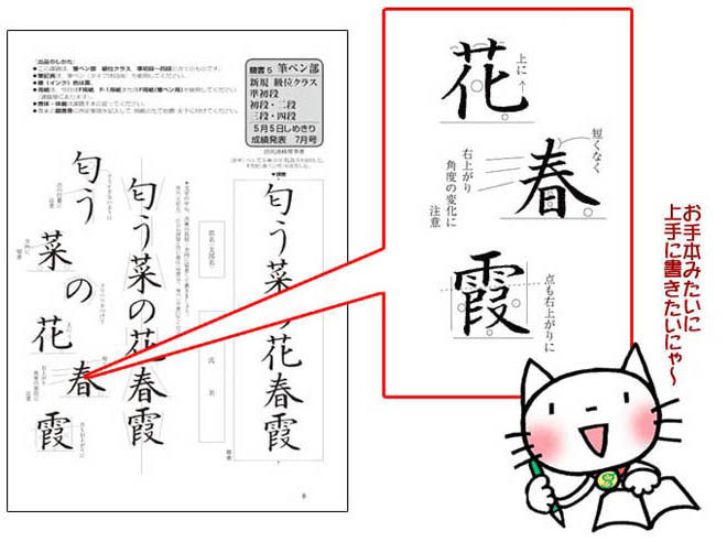 見本