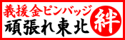 �`�o���s���o�b�W���