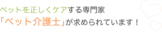 ペットを正しくケアする専門家「ペット介護士」が求められています！