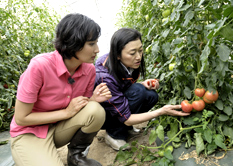 野菜コーディネーター養成講座