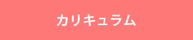 カリキュラム