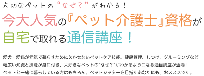 大切なペットの「なぜ？」がわかる！今大人気の「ペット介護士」資格が自宅で取れる通信講座！