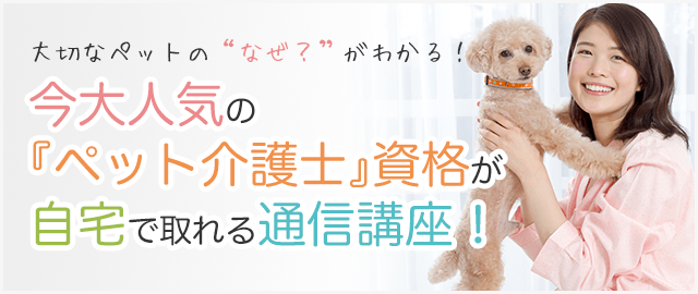 大切なペットの「なぜ？」がわかる！今大人気の「ペット介護士」資格が自宅で取れる通信講座！