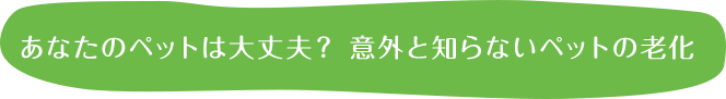 あなたのペットは大丈夫？意外と知らないペットの老化