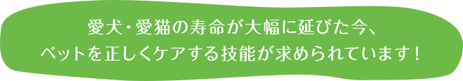 愛犬・愛猫の寿命が大幅に延びた今、ペットを正しくケアする技能が求められています！ 