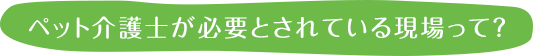 ペット介護士が必要とされている現場って？