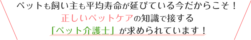 ペットも飼い主も平均寿命が延びている今だからこそ！正しいペットケアの知識で接する「ペット介護士」が求められています！