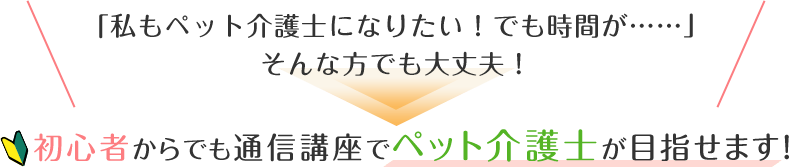 初心者からでも通信講座でペット介護士が目指せます！