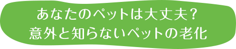 あなたのペットは大丈夫？意外と知らないペットの老化