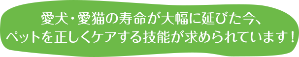 愛犬・愛猫の寿命が大幅に延びた今、ペットを正しくケアする技能が求められています！ 