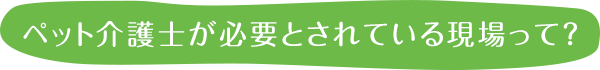 ペット介護士が必要とされている現場って？