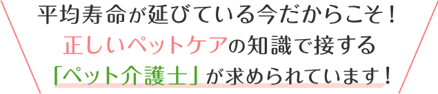 大切なペットだからこそ、確かな知識で最適な暮らしを！