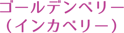 ゴールデンベリー（インカベリー）