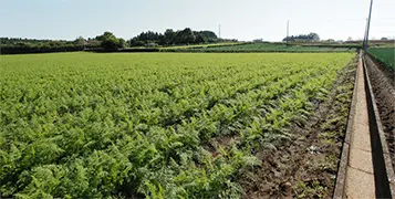食育インストラクターへのステップ５